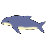 The purpose-driven porpoise